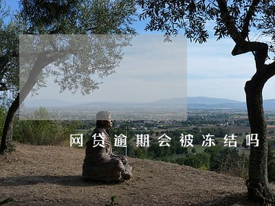 网贷逾期会被冻结吗