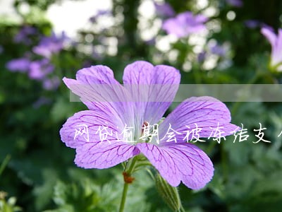 网贷逾期会被冻结支付功能吗 网贷逾期会被冻结支付功能吗