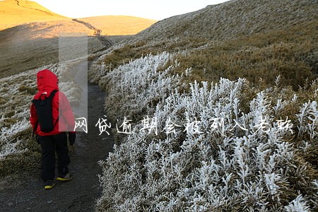 网贷逾期会被列入老赖 网贷逾期会被列入老赖