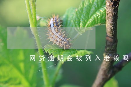 网贷逾期会被列入老赖吗 网贷逾期会被列入老赖吗