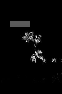 网贷逾期会被判曝光案件吗