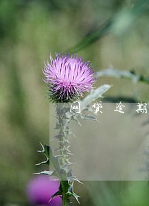 网贷逾期会被发彩信到家人吗 网贷逾期会被发彩信到家人吗
