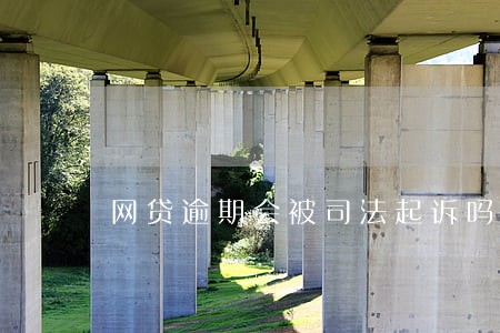 网贷逾期会被司法起诉吗你 网贷逾期会被司法起诉吗你