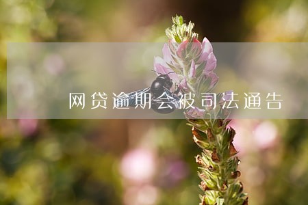 网贷逾期会被司法通告 网贷逾期会被司法通告
