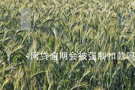 网贷逾期会被强制扣款吗 网贷逾期会被强制扣款吗