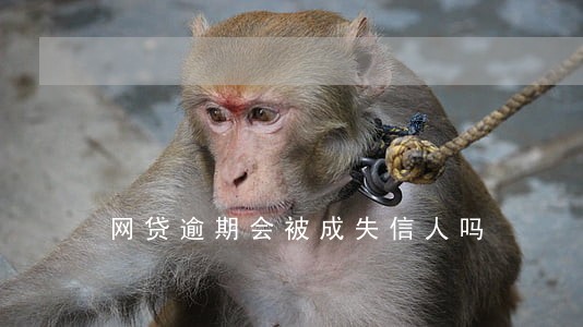 网贷逾期会被成失信人吗 网贷逾期会被成失信人吗