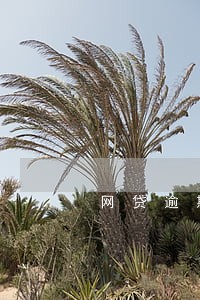 网贷逾期会被执行么 网贷逾期会被执行么
