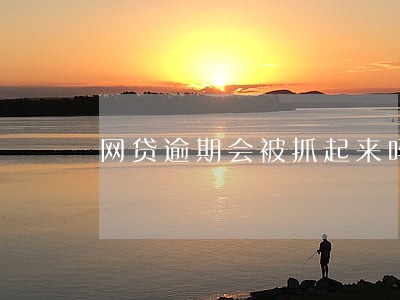 网贷逾期会被抓起来吗 网贷逾期会被抓起来吗