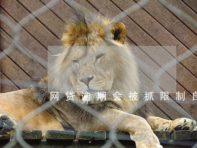 网贷逾期会被抓限制自由吗 网贷逾期会被抓限制自由吗