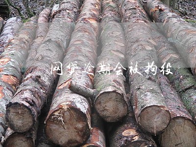 网贷逾期会被拘役 网贷逾期会被拘役
