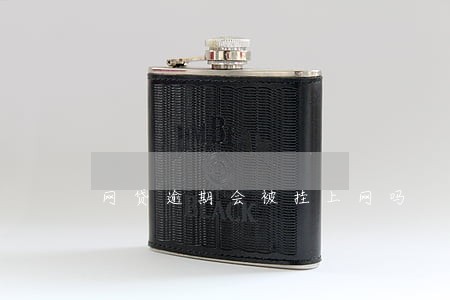 网贷逾期会被挂上网吗 网贷逾期会被挂上网吗