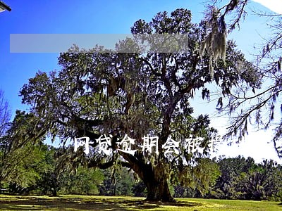 网贷逾期会被提档案吗 网贷逾期会被提档案吗