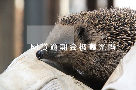 网贷逾期会被曝光吗