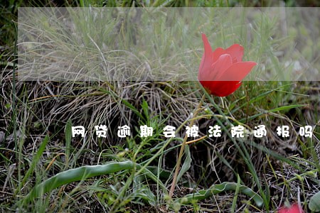 网贷逾期会被法院通报吗 网贷逾期会被法院通报吗
