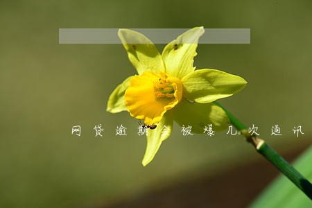 网贷逾期会被爆几次通讯录 网贷逾期会被爆几次通讯录