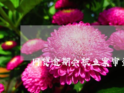 网贷逾期会被立案审查吗 网贷逾期会被立案审查吗