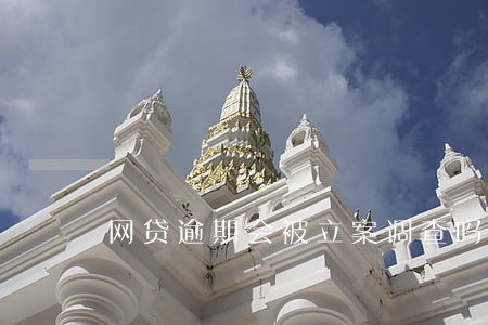 网贷逾期会被立案调查吗 网贷逾期会被立案调查吗