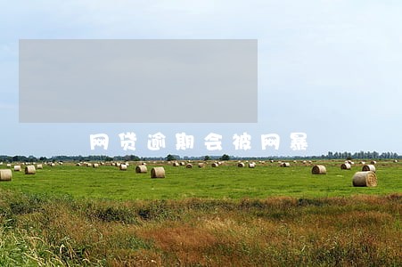 网贷逾期会被网暴 网贷逾期会被网暴