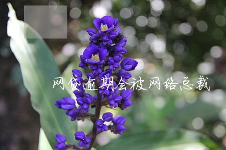 网贷逾期会被网络总裁