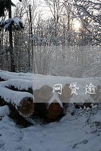 网贷逾期会被要求一次性还清吗