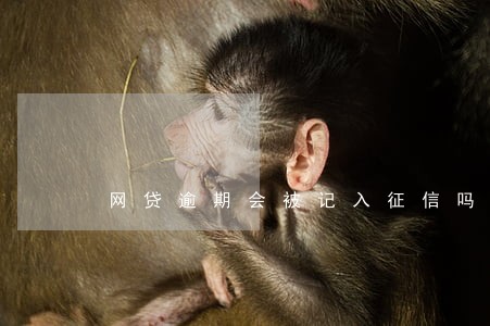 网贷逾期会被记入征信吗 网贷逾期会被记入征信吗