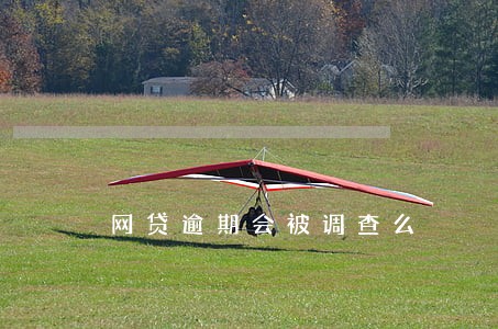 网贷逾期会被调查么 网贷逾期会被调查么