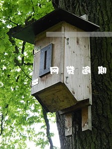 网贷逾期会被追回吗 网贷逾期会被追回吗