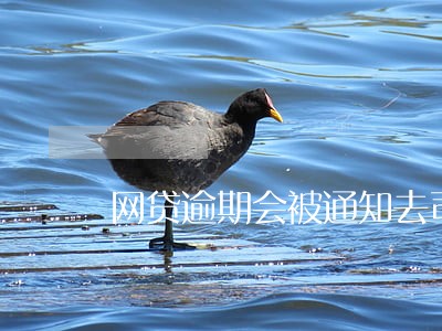 网贷逾期会被通知去司法局吗 网贷逾期会被通知去司法局吗
