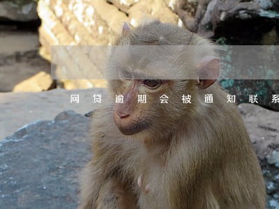 网贷逾期会被通知联系人吗 网贷逾期会被通知联系人吗