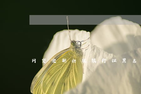 网贷逾期会被银行拉黑名单吗 网贷逾期会被银行拉黑名单吗