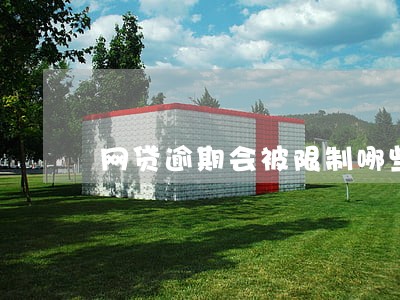 网贷逾期会被限制哪些 网贷逾期会被限制哪些