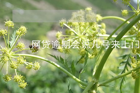 网贷逾期会说几号来上门的么