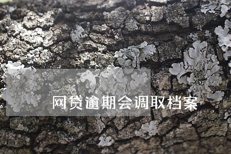 网贷逾期会调取档案 网贷逾期会调取档案