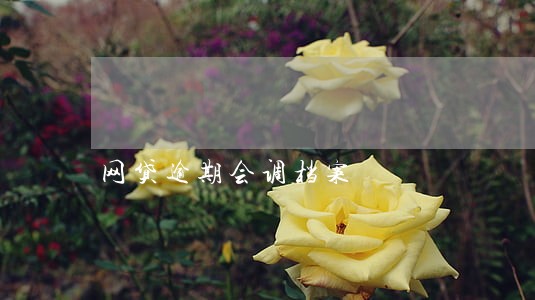网贷逾期会调档案 网贷逾期会调档案