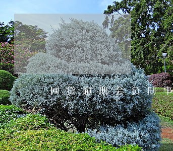 网贷逾期会负刑事责任吗 网贷逾期会负刑事责任吗