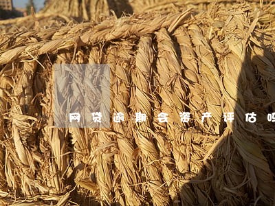 网贷逾期会资产评估吗 网贷逾期会资产评估吗