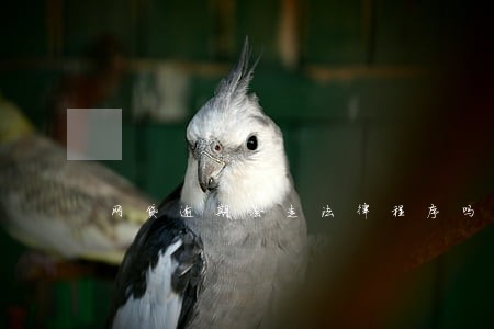 网贷逾期会走法律程序吗