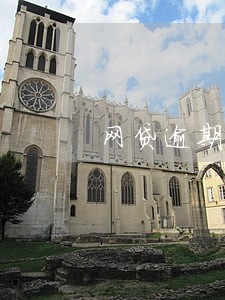 网贷逾期会起诉担保人吗