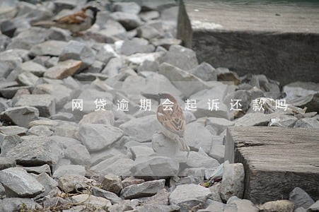 网贷逾期会起诉还款吗 网贷逾期会起诉还款吗