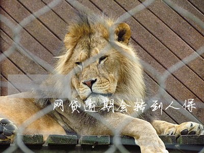 网贷逾期会转到人保 网贷逾期会转到人保