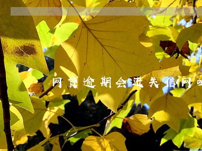 网贷逾期会进失信网吗 网贷逾期会进失信网吗