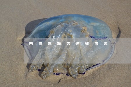 网贷逾期会进征信吗 网贷逾期会进征信吗