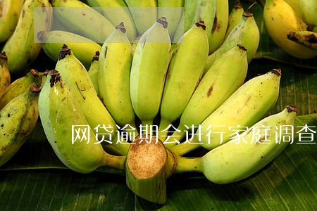 网贷逾期会进行家庭调查吗 网贷逾期会进行家庭调查吗