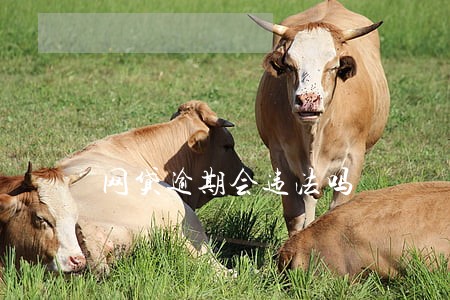 网贷逾期会违法吗 网贷逾期会违法吗