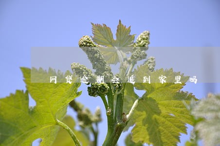 网贷逾期会追到家里吗 网贷逾期会追到家里吗