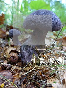 网贷逾期会通知上门吗 网贷逾期会通知上门吗