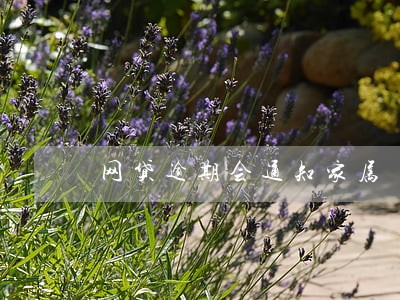 网贷逾期会通知家属 网贷逾期会通知家属