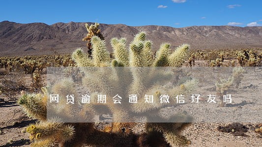 网贷逾期会通知微信好友吗 网贷逾期会通知微信好友吗