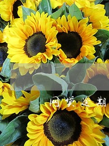 网贷逾期会造信用卡降额 网贷逾期会造信用卡降额