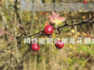 网贷逾期会邮寄花圈吗 网贷逾期会邮寄花圈吗